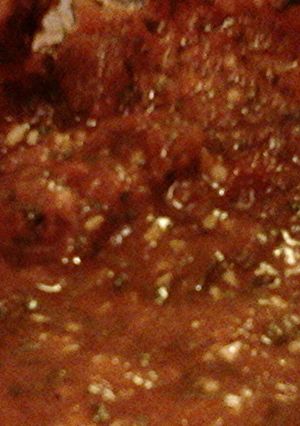 A picture of Sheree's Homemade Salsa made with canned tomatoes.