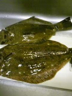 A picture of Really Easy! How to Cut Up Flounder (Method 1).