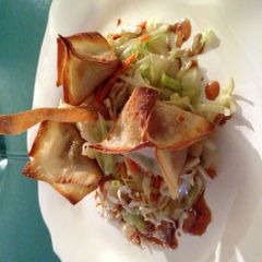 A picture of Teriyaki Chicken And Avocado Wontons.