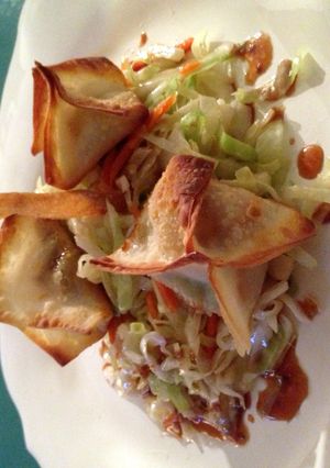 A picture of Teriyaki Chicken And Avocado Wontons.