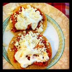A picture of tinga.