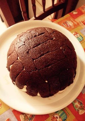 A picture of Zuccotto Tiramisu.