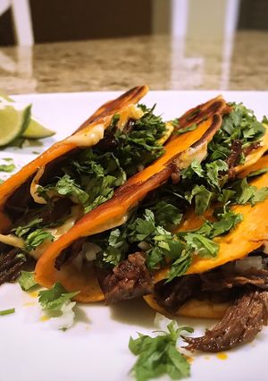 A picture of Short rib birria tacos/or ramen.