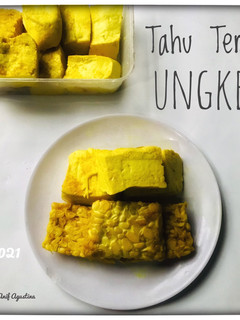 Foto resep Tahu Tempe Ungkep