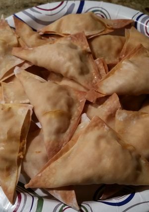 A picture of Buffalo Chicken Wontons.