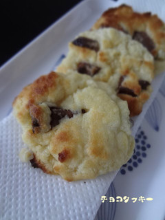 A picture of Easy Toster Oven Chocolate Cookies.