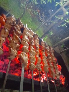 عکسی از دستور جوجه کباب