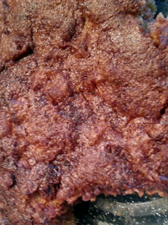 A picture of Easy Apple Cake.