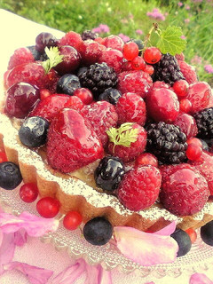 A picture of Berry Tart.