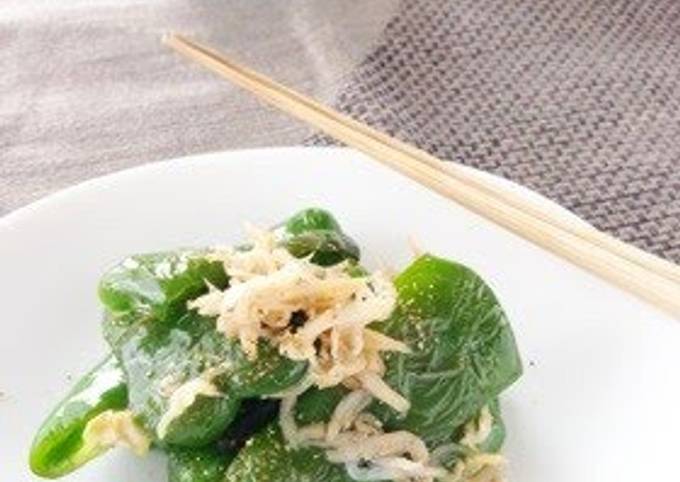 How to Make Homemade Stir-Fried Green Pepper with Shirasu and Sansho for Bento!