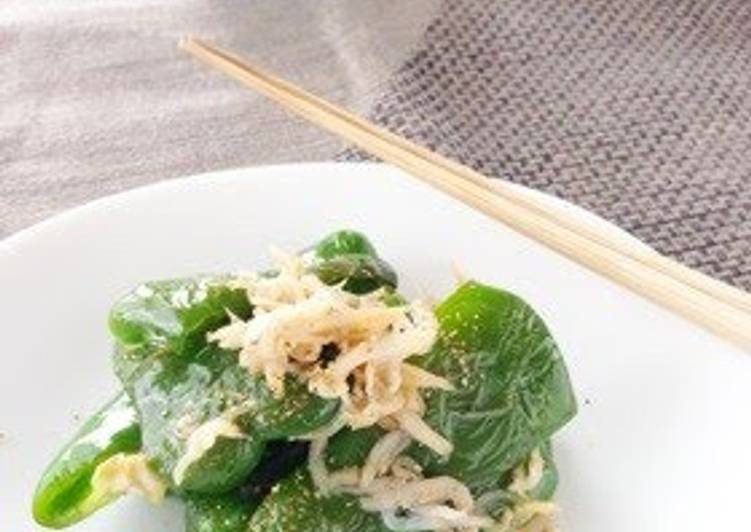 Simple Way to Prepare Perfect Stir-Fried Green Pepper with Shirasu and Sansho for Bento!