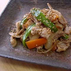 A picture of Pork, Sesame Seed & Ginger Stir Fry.