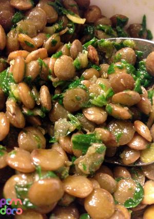 A picture of Lentils, spinach and herb salad.