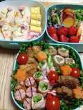 Cherry Blossom Viewing Bento