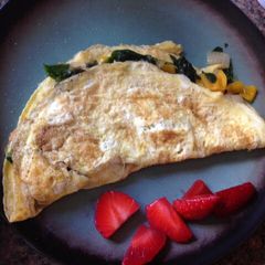 A picture of The Best Omelet.