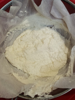 A picture of Homemade cheese.