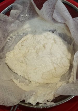 A picture of Homemade cheese.
