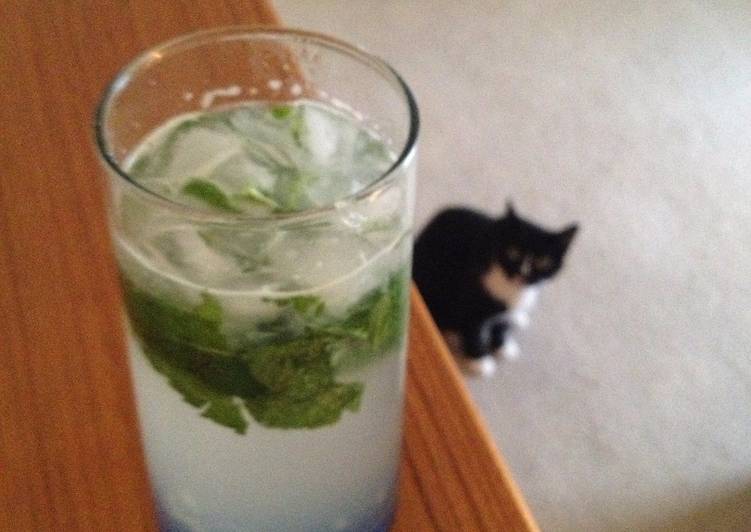 Recipe of Any-night-of-the-week Mojito