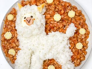 鑄鐵鍋無水料理│草泥馬番茄肉醬飯