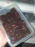Black bean brownies