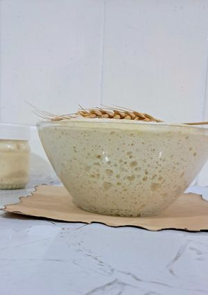 عکسی از دستور روش اصولی تهیه مخمر مادر (خمیر ترش) و روشهای صحیح درست کردن انواع خمیر با مخمر مادر