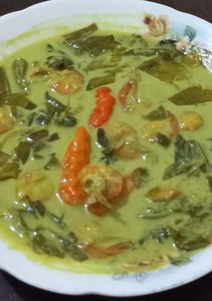 Foto resep Gulai paku / gulai pakis udang minang ala2ku
