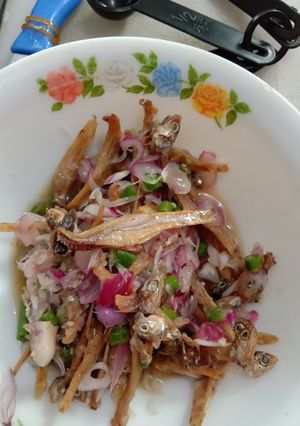 Foto resep Anyank Bada (acar teri)