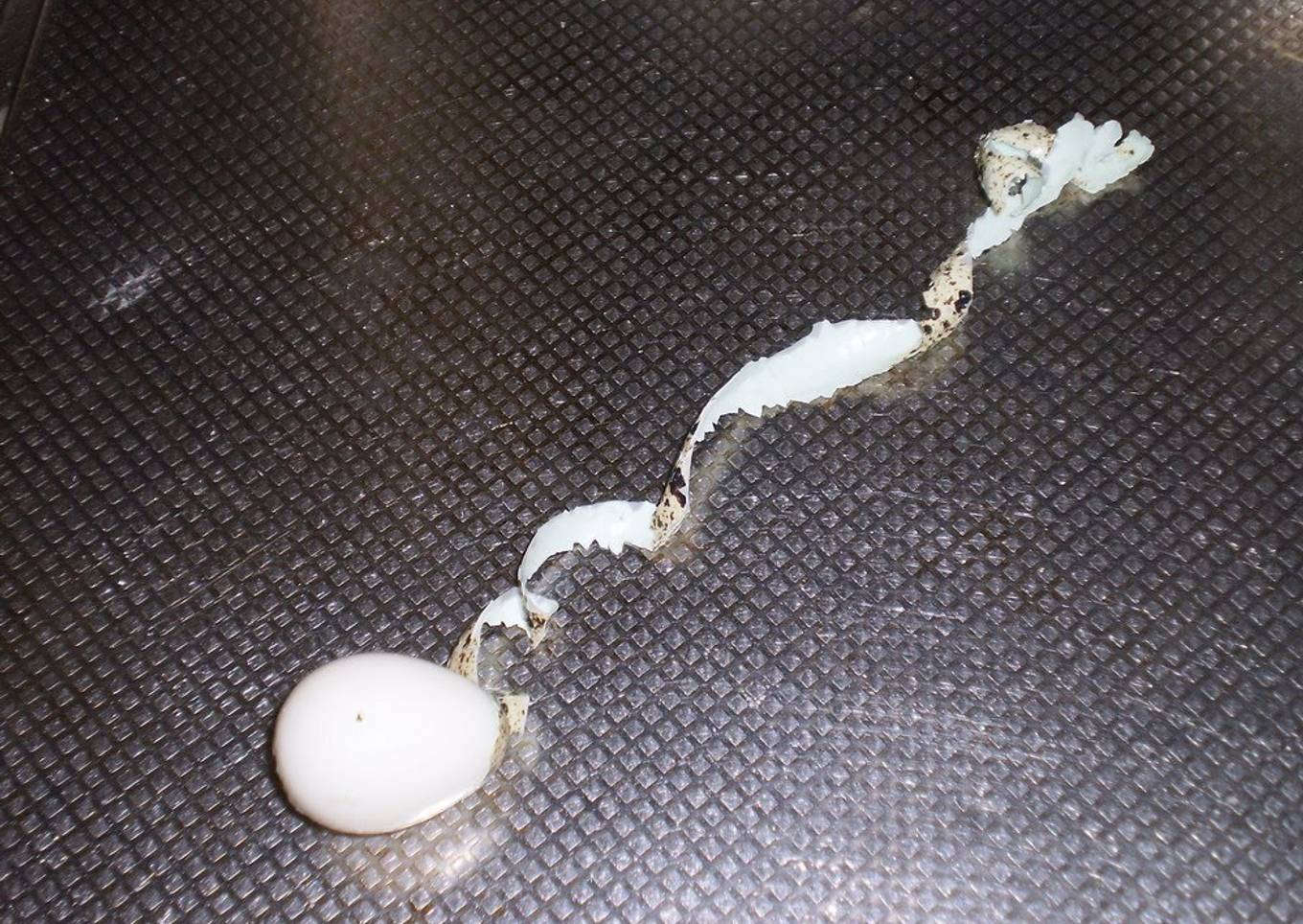 It Comes Off As One Strip! Peel Quail Eggs