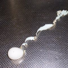 A picture of It Comes Off As One Strip! Peel Quail Eggs.