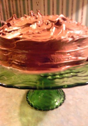 A picture of sunshines cocoa cake.