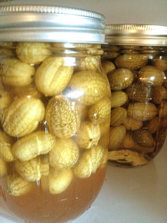 A picture of Sriracha Pickles.