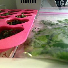 A picture of Preserving and Keeping Fresh Herbs.