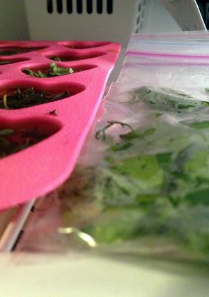 A picture of Preserving and Keeping Fresh Herbs.