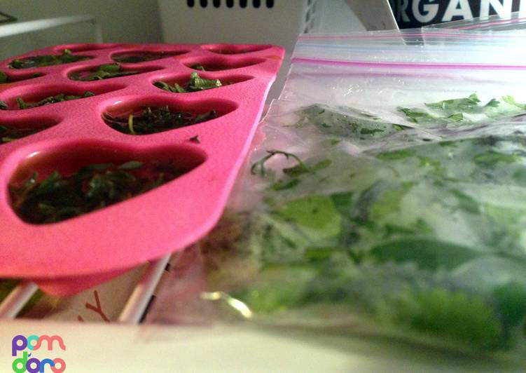 Preserving and Keeping Fresh Herbs