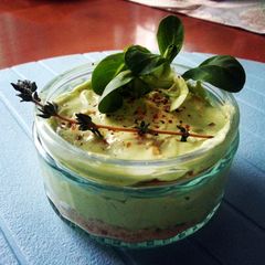 A picture of Avocado Snack.