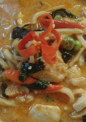 A picture of Thai chicken red curry with bamboo shoot..