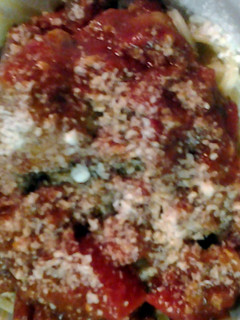 A picture of Skunkmonkey's spaghetti.