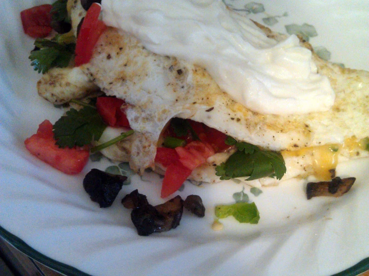 Recipe egg white, fresh tomato and cilantro omelet the So Delicious Can spoil the tongue