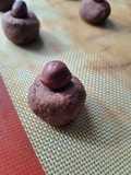 Ghribia cacao
