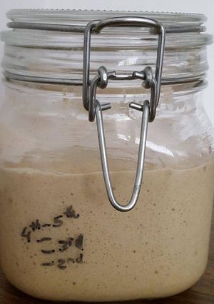 A picture of Sourdough Starter.