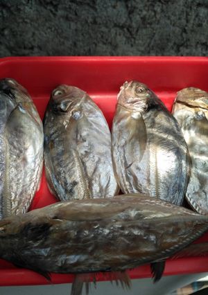 Foto resep Ikan asin homemade