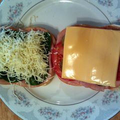 A picture of Taisen's wacky ham sandwich.