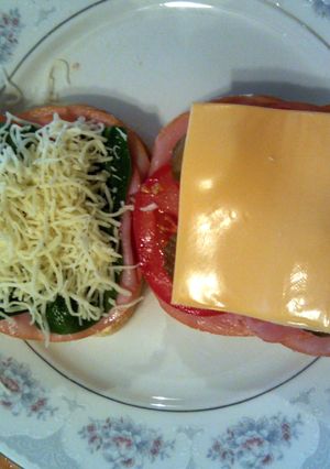 A picture of Taisen's wacky ham sandwich.