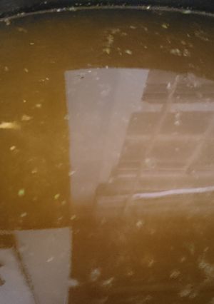A picture of Crockpot Flavorful Chicken Broth.