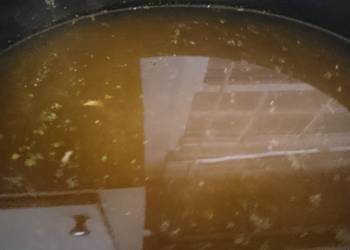 Popular Cuisine Crockpot Flavorful Chicken Broth Delicious and Healthy