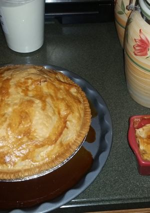 A picture of Apple-Pie in a Bag.
