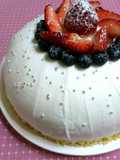 Double Mousse Dome Cake (Zuccotto Cake)