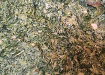Easiest Way to Prepare Yummy Creamed spinach