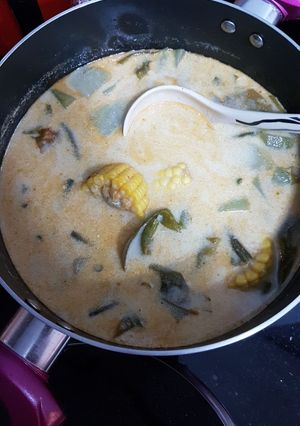 Foto resep Sayur lodeh sederhana