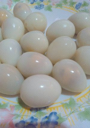 Foto resep Trik merebus telur dgn cepat 🐣 (HEMAT Gas,Waktu + praktis) 👌